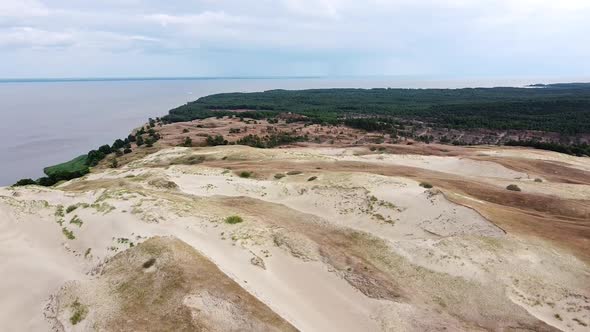 Coastline of Curoanian lagoon with sandy dunes and pine tree forest, aerial drone view