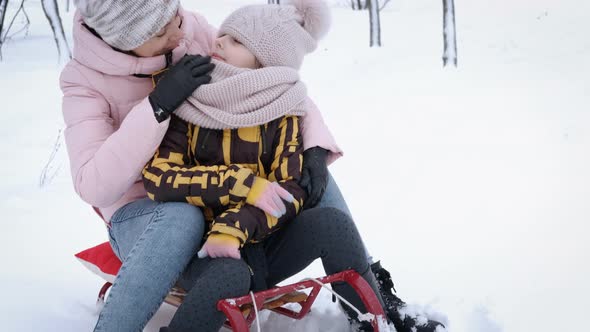 Laughing Time on the Sleigh