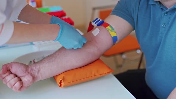 Female hands in blue gloves taking a blood sample for tests.