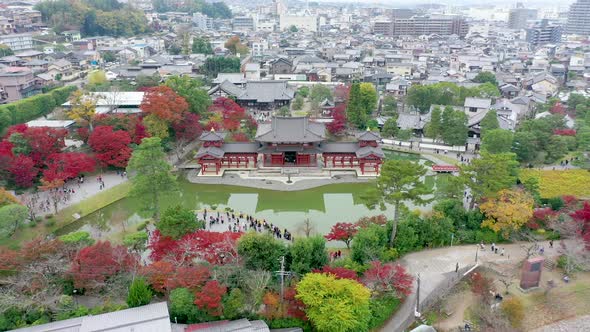 Aerial view 4k by drne of Byodoin temple (Byodo-in) with autumn leaves, Uji City