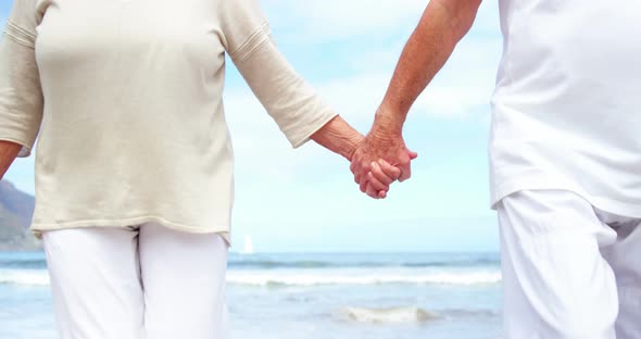 Happy senior couple walking on the beach