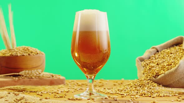 Foamy Beer in Glass Closeup