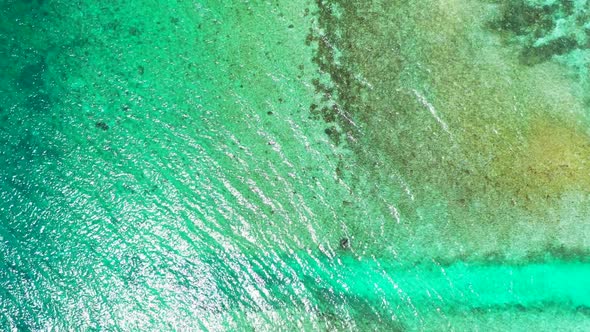 Aerial above scenery of relaxing tourist beach wildlife by blue ocean with white sand background of 