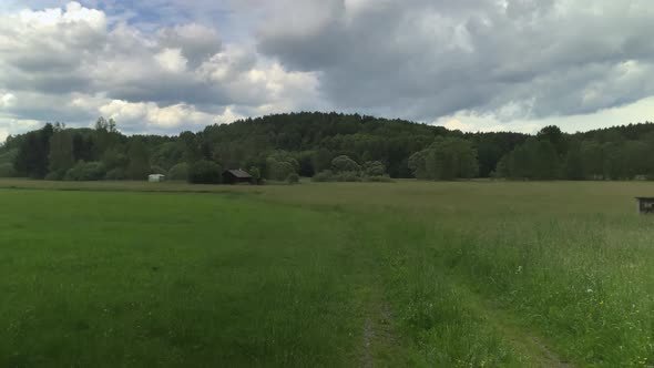 Picturesque pasture in the middle of the forest