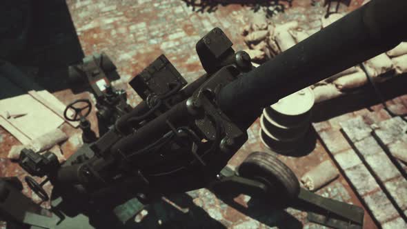 Cannon Gun in the City