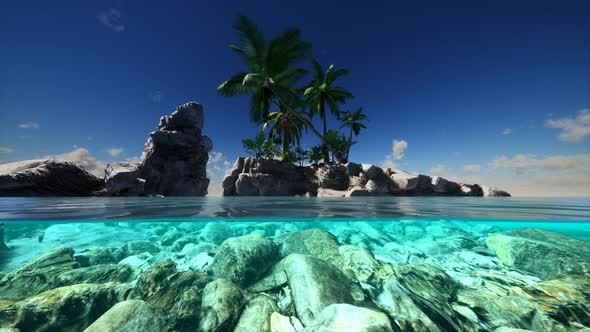 Split View Cross Section of Sea Water and Palm Trees on Island alt