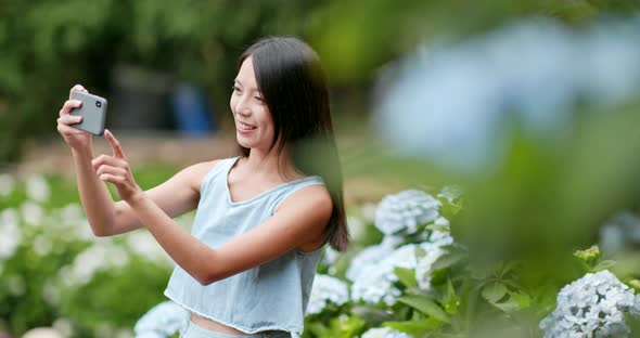 Young Woman taking photo on Hydrangea farm 