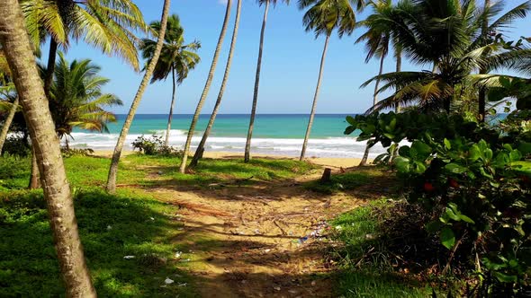 Walking on natural sandy seaside tropical beach path under shades of palm trees towards green ocean