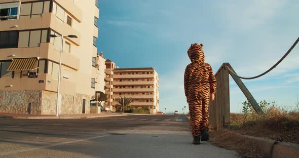 Rear View of Child Going Far Away on Street Dressed in Tiger Costume