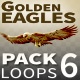 Golden Eagles - VideoHive Item for Sale