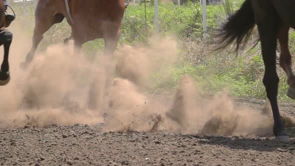 The Feet of the Horses at the Racetrack