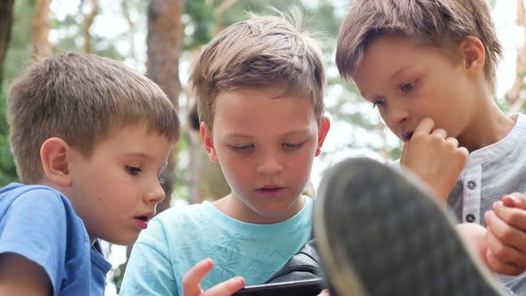 Boy with freckles on the face look at mobile. Children, brothers siblings looking at mobile. alt