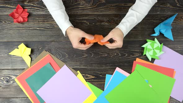 Man Folding an Origami Fox.