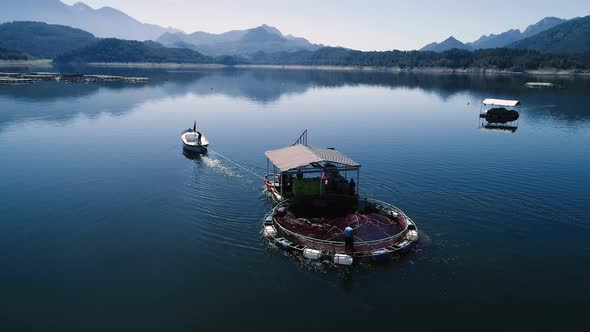 Farm Fishing