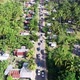 Aerial view of forest road - VideoHive Item for Sale