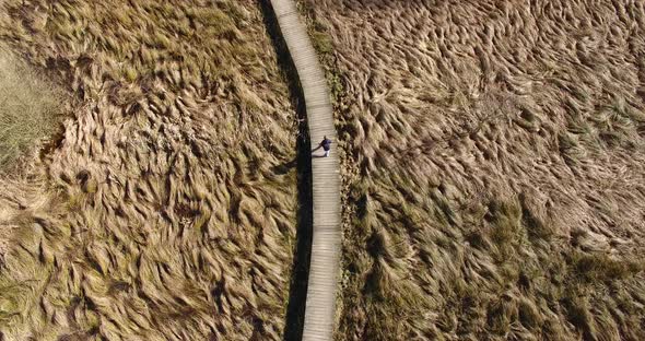 Birds eye view of a guy walking alone on a wooden pathway in a meadow in the fall.