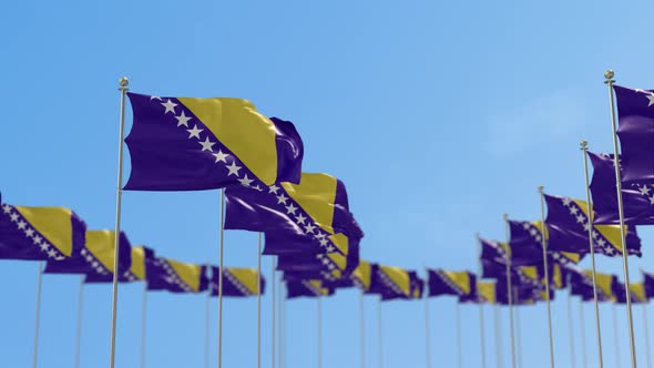 Bosnia and Herzegovina Row Of Flags 3D Animation