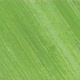 Flying Over Green Meadow with Small Trees - VideoHive Item for Sale