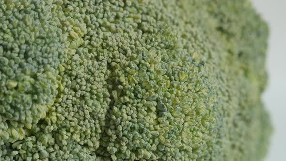 Broccoli  Brassica oleracea texture details 4K panning footage