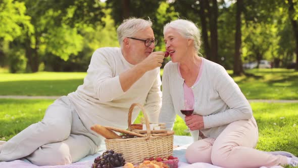 Happy Senior Couple Having Picnic at Summer Park 