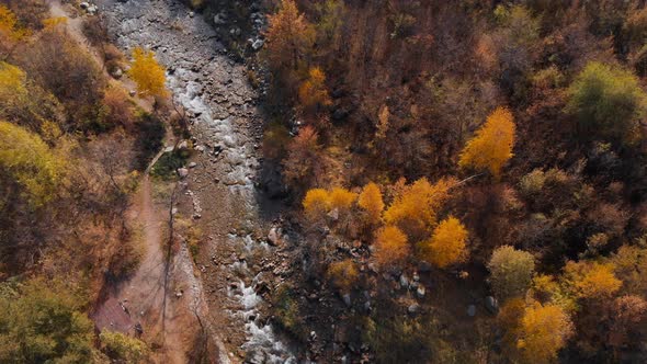 Aerial View of Mountain River Landscape of Autumn Forest