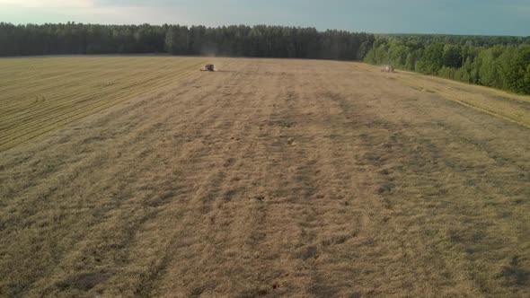 Two Combine Harvesters Harvest Grain on Evening Farmland