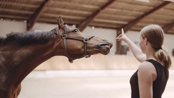 Young Woman Feeding Horse In Paddock