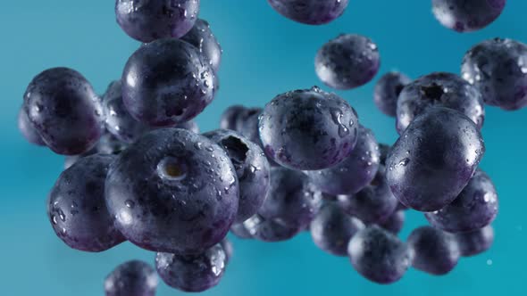 Flying of Blueberries in Sky Blue Background