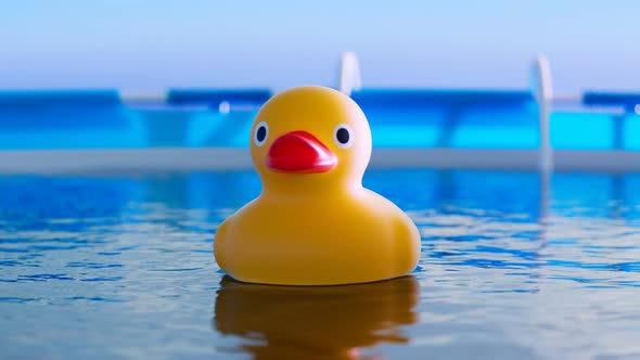 Rubber duck floating in the swimming pool. Camera panning around a yellow toy.