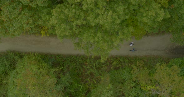 Top Down Aerial Pan of a Young Man and Woman Couple Jogging Along a Forest Path