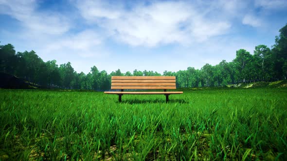 Wooden Bench On The Windy Green Grass Park 4K (Wide View)