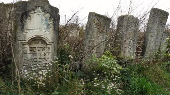 Old tombstones in a cemetery