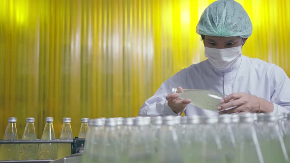 Asian male supervisor inspecting a bottle of herb drink production line