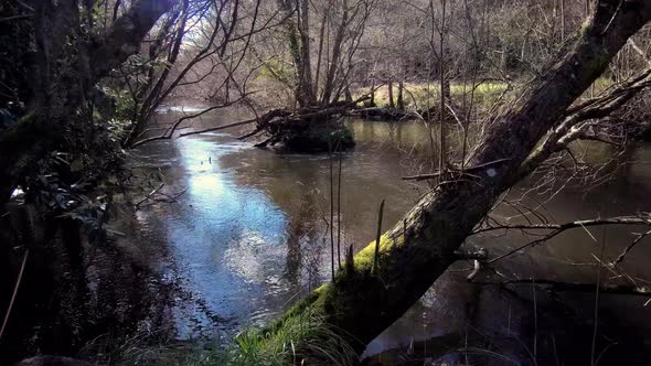 POV Approaching River Banks Of Lengüelle River In Galicia.