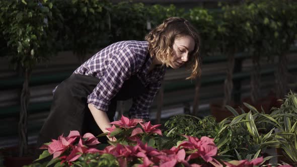 A Young Woman Florist Working in Greenhouse Caring for Flowers