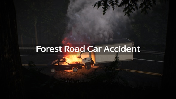 Forest Road Car Accident