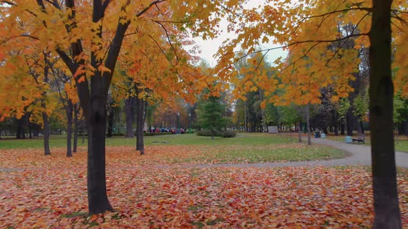 The Beauty of an Autumn Park in St