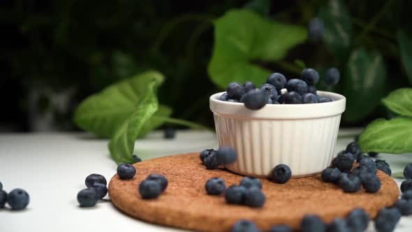 Slow Motion Footage, Delicious Blueberries Falling in White Bowl. Cinematic View with Green Plants