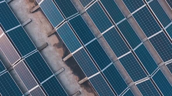 Flying over the solar farm with sunny reflection on panels. Photovoltaic solar panels attached to th