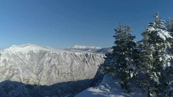 Flight Over the Snowcovered Spruce Forest with Mountains in the Background