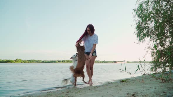 Beautiful Woman is Playing with Dog on a Lake in the Water. Happy Girl Play with Two Funny Puppy
