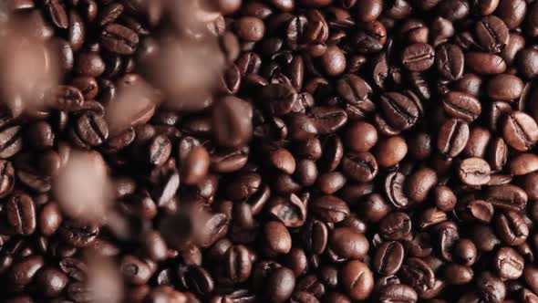 Black Coffee Beans Fall From Top to Bottom