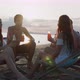Silhouette of friends group having fun and drinking alcohol on beach. Vacations concept - VideoHive Item for Sale