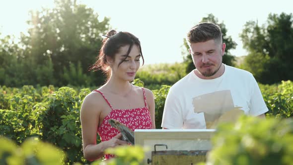 Portrait of Happy Artists' Couple Rejoices During Painting in Green Bushes Field