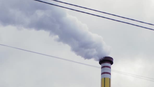 White Dense Steam Comes Out of the Pipe Against the Background of the Overcast Sky