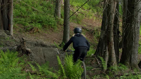 Mountain biker jumps a small gap in a luxuriant forest