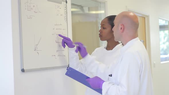 Scientist analyze and discuss research data on white board in science laboratory