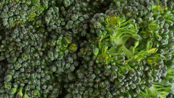 Fresh Green Broccoli Rotate