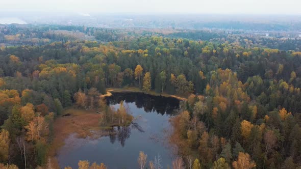 Aerial View of Green Pine and Spruce Conifer Treetops Forest and Kalnmuiza lake in Latvia. Colorful