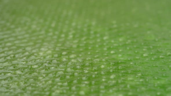 Green texture, Slow Motion